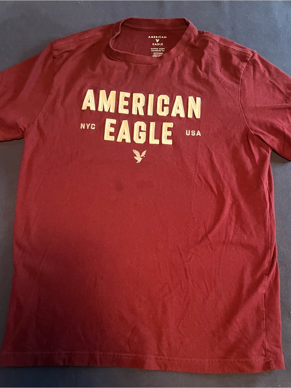 American Eagle Outfitters Men's Maroon vintage look embroidered Graphic Logo Tee